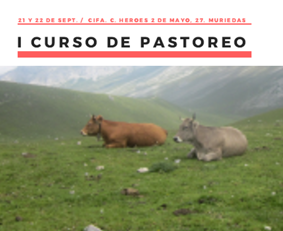 CURSO DE PASTOREO EN CANTABRIA