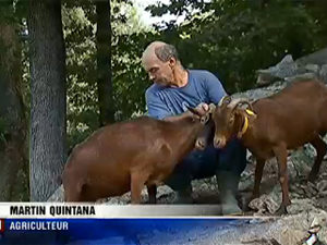 VISIT TO BREEDERS OF NATIVE GOAT