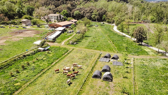 ¿CÓMO PUEDE LA AGRICULTURA CONTRIBUIR A MITIGAR EL CAMBIO CLIMÁTICO?